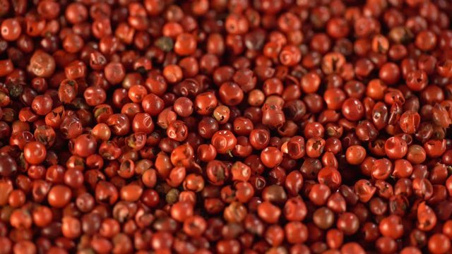 Food spices pink peppercorns red pepper Himalayan pepper berries. concept of fresh and dietary spices for cooking schools vegans and dietary products.