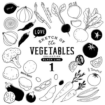 1 076 847 最適な 野菜のイラスト 画像 ストック写真 ベクター Adobe Stock