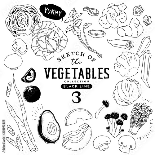 オシャレな手描き野菜セット03 ライン画 Wall Mural Wallpaper Murals Rococo38