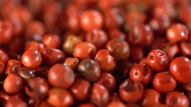 Food spices pink peppercorns red pepper Himalayan pepper berries. concept of fresh and dietary spices for cooking schools vegans and dietary products.