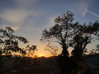 silhouette of tree at sunset at Graz