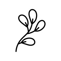 branch leaves foliage natural on white background thick line