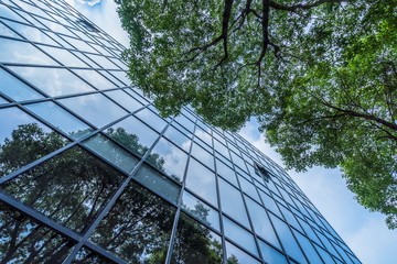 Fototapeta na wymiar modern office building with green leaves.