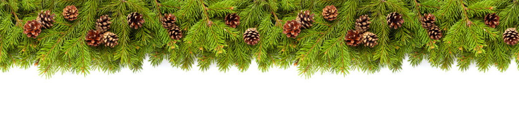 Christmas tree branches on white background as a border or template for christmas card