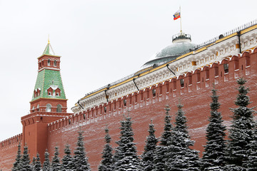 Moscow Kremlin after snowfall, winter landscape with snow covered fir trees. View to the Putin's...