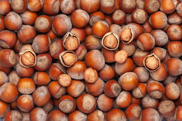 Hazelnut background. Inshell nuts and several peeled