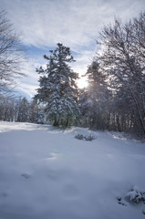 first Christmas snowfall in the national park in Abruzzo