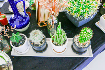 Cactus in the upper pot and various objects