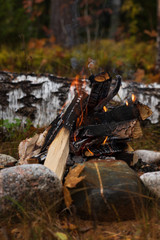 Small campfire with stones around in a Swedish forest during autumn. 