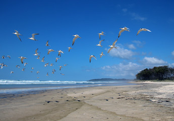 Bucht an der Küste Australiens