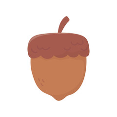 autumnal acorn nut on white background