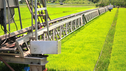 Machine is pouring water to wheat grass farm in Thailand.
