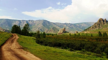 Green field with sky view