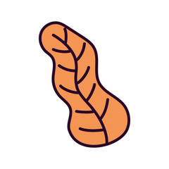 autumnal leaf foliage nature icon