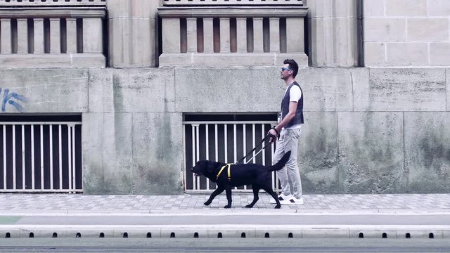 Young blind man with white cane and guide dog walking in city.