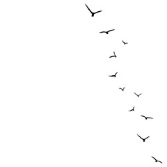 vector background with flying birds on the right side.