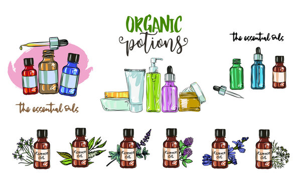 Hand drawn set of essential oils,  Medicinal herb with glass dropper bottle, Good for cosmetics, medicine, treating, aromatherapy, package design health care, Isolated objects on white background.
