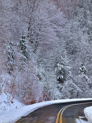Empty asphalt road in snow covered spruce forest, beautiful winter landscape.