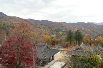 Fototapeta na wymiar Byeoksongsa Temple of South Korea
