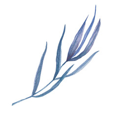 Watercolor single violet-lilac leaf willow twig. Hand drawn isolated on a white background.