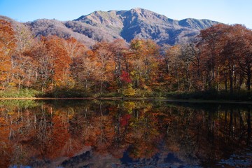 池と紅葉　刈込池