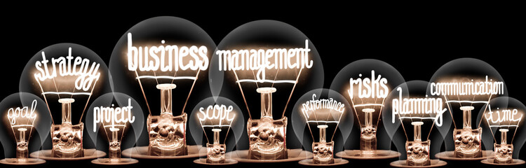 Light Bulbs with Business Management Concept