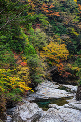 秋のみたらい渓谷　奈良県天川村