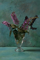 Lilac flowers in a vase. Still life.