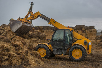 farming in Ukraine, harvesting, storage of silage, fodder for livestock