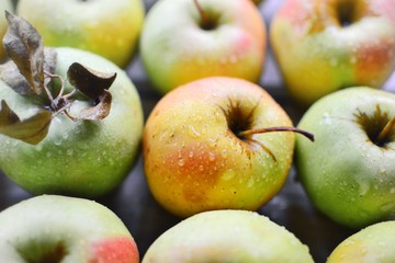 Juicy ripe apples. Yellow-green apples in a wooden box