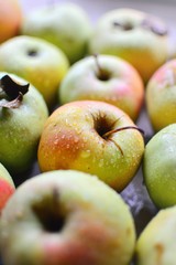 Juicy ripe apples. Yellow-green apples in a wooden box