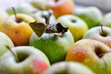 Juicy ripe apples. Yellow-green apples in a wooden box