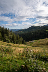 Obraz premium Kuhweide in den Bergen