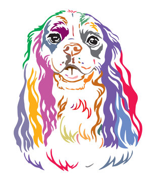 Colorful decorative contour outline portrait of Dog Cavalier King Charles Spaniel, vector illustration in different colors isolated on white background. Image for design and tattoo. 