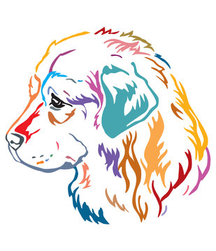 Colorful decorative contour outline portrait of Dog Caucasian Shepherd looking in profile, vector illustration in different colors isolated on white background. Image for design and tattoo. 