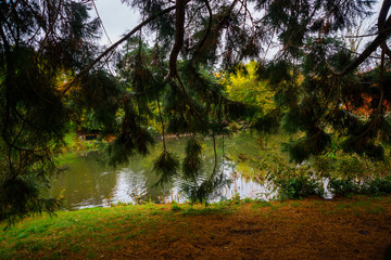 AARHUS, DENMARK: Beautiful landscape Park in the city