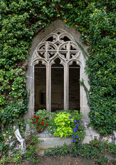 Fototapeta na wymiar Offenes gotisches Fenster aus Stein in bewachsener Fassade einer mittelalterlichen Klosteranlage
