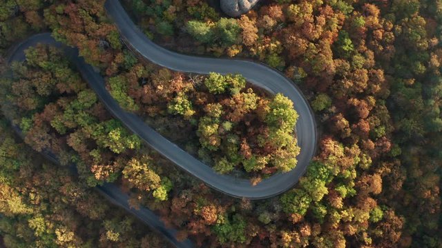 Drone flight above colorful autumn forest with curvy country road