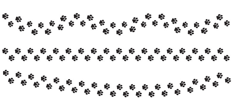 Animal track with paw prints. Pet footprints