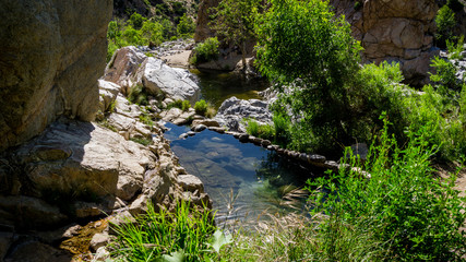 Infinity Pool