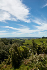 Fototapeta na wymiar Bush views of countryside at Helensville, Auckland, New Zealand