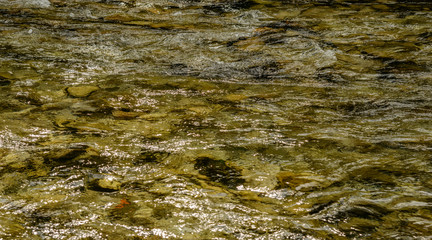 texture stones in clear river