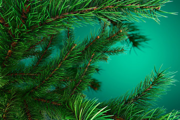 Christmas tree background for christmas ball or other product. 3D Render