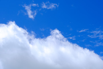 Fototapeta premium Beautiful blue sky with white gorgeous fluffy cloudy flowing with the wind