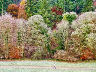 Frosty Morning Walk