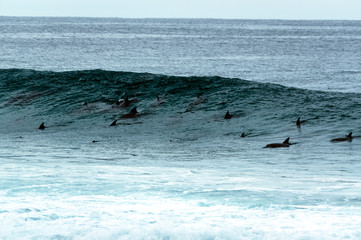 Rolling in the Waves