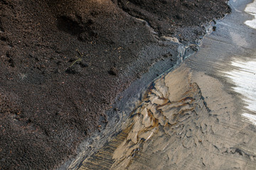 peat processing plant