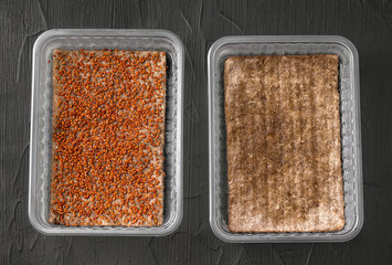 Seeds of micro greens arugula and watercress, in a polypropylene container on a linen rug. Black background. homegrown