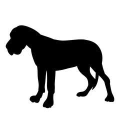 white background, black silhouette one dog is standing