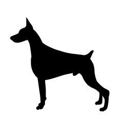 white background, black silhouette one dog is standing